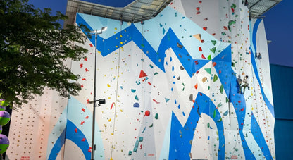 Commercial Climbing Gym Projects